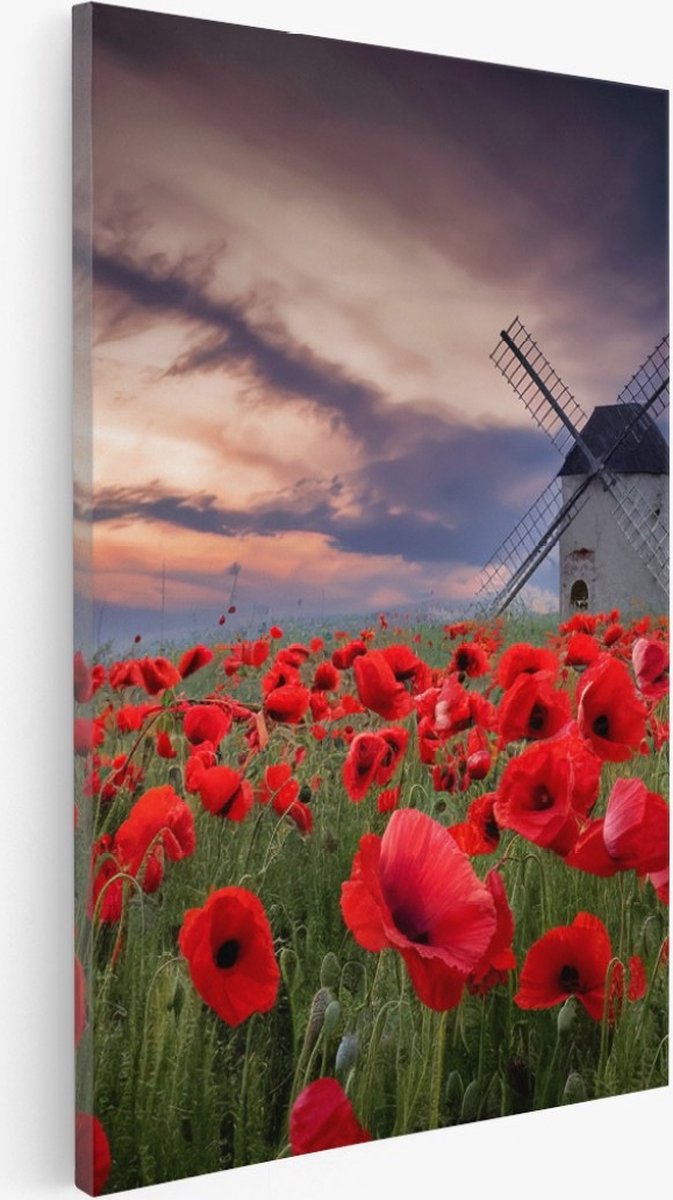 Saammp Canvas Schilderij - Klaprozen met molen - Bloemen - Landschap - Natuur - 75x100 - Foto op canvas - Wanddecoratie - Muurdecoratie Woonkamer - Slaapkamer decoratie - Canvas Print Multicolor