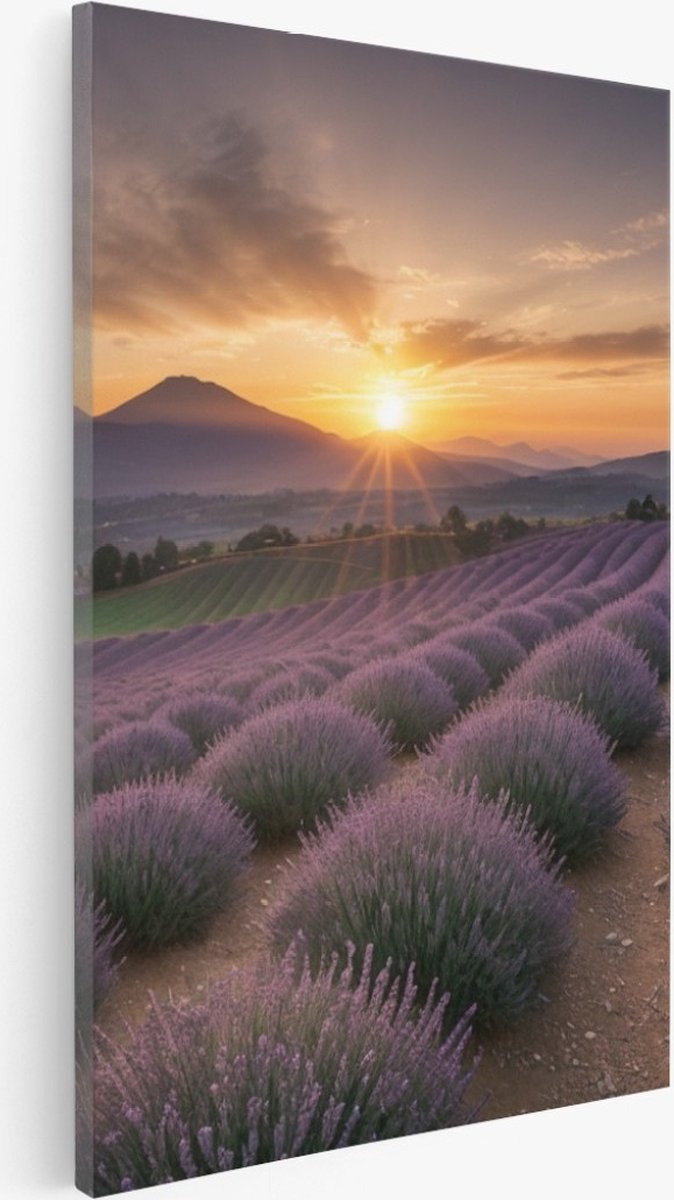 Saammp Canvas Schilderij - Landschap - Lavendel met bergen - Natuur - 75x100 - Foto op canvas - Wanddecoratie - Muurdecoratie Woonkamer - Slaapkamer decoratie - Canvas Print Multicolor