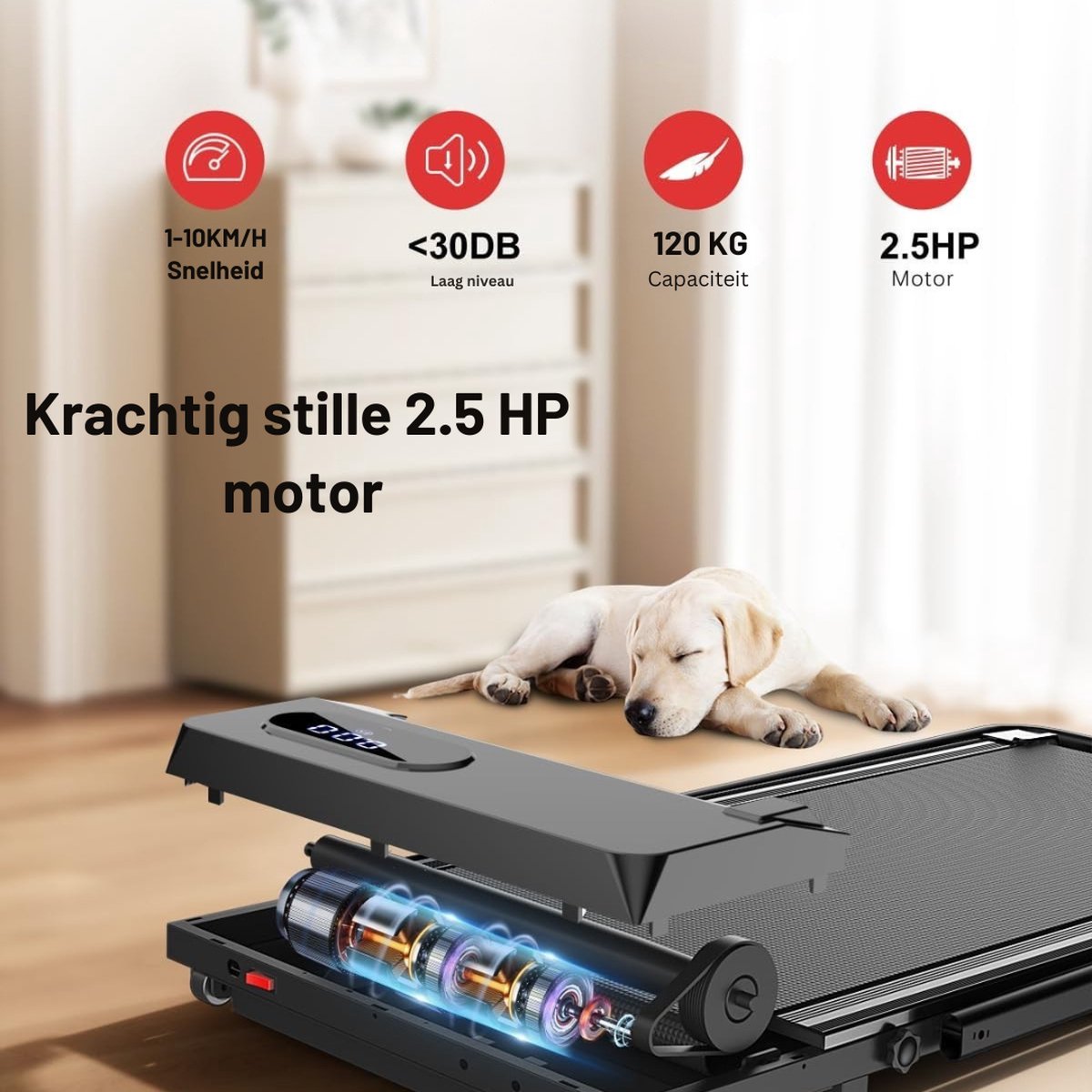 Afbeelding 3 van Truskore Fit Plus Loopband - 1-10km/u - Inklapbaar - Wandelband - Led Display en Afstandsbediening - Walking Pad - Treadmill