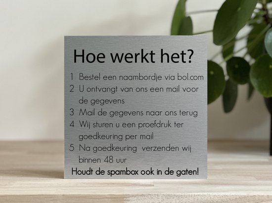 Naambordje / huisnummer voordeur huis familie Rvs-look 20x28cm met rvs afstandhouders