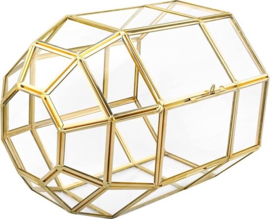 ElegantLife Geometrisch terrarium van glas voor vetplanten en luchtplanten (geen plant inbegrepen