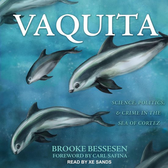 Vaquita - cover