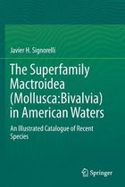 The Superfamily Mactroidea (Mollusca:Bivalvia) in American Waters