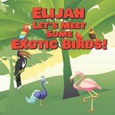Elijah Let's Meet Some Exotic Birds!
