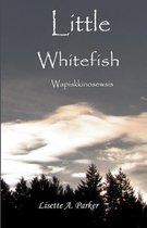 Little Whitefish