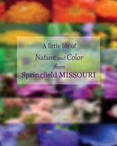 A Little Bit of Nature and Color from Springfield Missouri