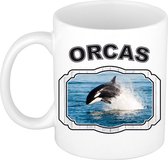 Dieren orka beker - orcas/ orka vissen mok wit 300 ml