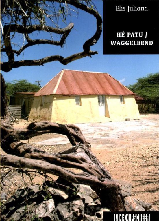 Cover van het boek 'Hé Patu / Waggeleend' van Elis Juliana