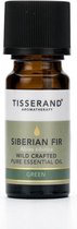 Tisserand Siberian Fir (siberian Fir) Abies Sibirica Wild Crafted