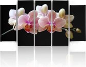 Schilderij , Roze Orchidee , 4 maten , 5 luik , zwart roze , wanddecoratie , XXL