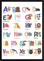 Poster Dieren Alfabet Kind - Kinderkamer Educatief ABC - Schoolplaat Large 50x70 - Kleur