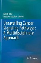 Unravelling Cancer Signaling Pathways A Multidisciplinary Approach