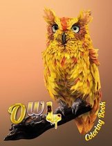 Owl Coloring Book