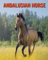 Andalusian Horse