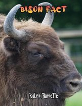 Bison Fact