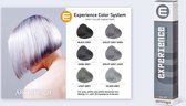 Artistique Experience - Grey Haircolor - Violet Grey Dark