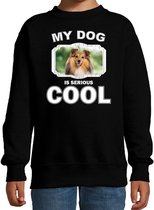 Sheltie honden trui / sweater my dog is serious cool zwart - kinderen - Shelties liefhebber cadeau sweaters 14-15 jaar (170/176)
