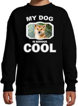 Shiba inu honden trui / sweater my dog is serious cool zwart - kinderen - Shiba inu liefhebber cadeau sweaters 3-4 jaar (98/104)