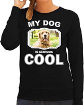 Golden retriever honden trui / sweater my dog is serious cool zwart - dames - Golden retrievers liefhebber cadeau sweaters L