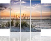 Schilderij , Gras op het Strand , Multikleur ,4 maten , 5 luik , wanddecoratie , Premium print , XXL