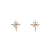 Ster Oorbellen - oorknoppen - Star - Damesjuwelen - oorknoppen - 14 K gold plated