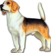 Beagle Hond (Dog), hondenbeeldje, figuur