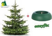 Kerstboom Nordmann gezaagd 175 - 200 cm - Met Easyfix Standaard Groen.