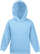 Fruit Of The Loom Kinder Unisex Sweatshirt Met Capuchon / Hoodie (Hemel Blauw)