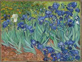 Vincent van Gogh, Irissen, 1889 op canvas, afmetingen van dit schilderij zijn 75x100 cm