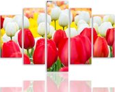Schilderij Rode en witte Tulpen, 5 luik, 4 maten, XXL, wanddecoratie