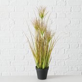 Plant in pot - Glanshaver - 60cm - Groen - Kunststof