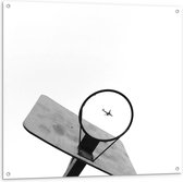 Tuinposter – Vliegtuig in Basketbalnet - 100x100cm Foto op Tuinposter  (wanddecoratie voor buiten en binnen)