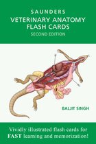 Veterinary Anatomy Flash Cards -