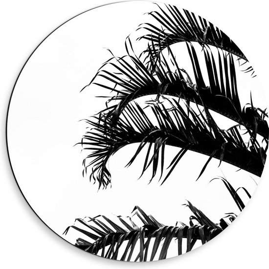 Dibond Wandcirkel - Palmtakken (wit/zwart) - 50x50cm Foto op Aluminium Wandcirkel (met ophangsysteem)