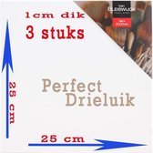 DONZA - Verpakking van 3 Stuks - Schildersdoek - Canvas - 25 x 25 x 0,5cm - Drieluik schildersdoek - Drieluik canvas - Drieluik - Schildersdoek Bleiswijck - Drievoudig geprepareerd