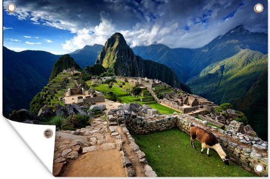 Affiche de jardin Lama au Machu Picchu toile en vrac 180x120 cm - Toile de jardin / Toile d'extérieur / Peintures d'extérieur (décoration de jardin) XXL / Groot format!