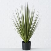 2x Groene grasplanten/kunstplanten Carex  78 cm in zwarte pot - Kunstplanten/nepplanten - Grasplanten