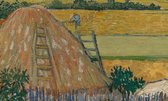 Vincent van Gogh, De oogst (La moisson), 1888 op aluminium, 60 X 90 CM