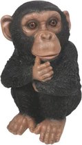 Beeld zittende chimpansee