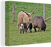 Famille de moutons dans l'herbe toile 2cm 40x30 cm - petit - Tirage photo sur toile peinture (Décoration murale salon / chambre) / animaux sauvages Peintures sur toile