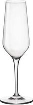 Electra luxe champagneglas - 23cl - 6 stuks