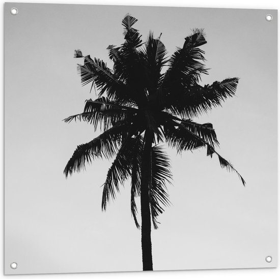 Tuinposter – Silhouet van Palmboom  - 80x80cm Foto op Tuinposter  (wanddecoratie voor buiten en binnen)