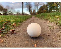 Klootschietbal - bal voor Klootschieten - Klootschiet materiaal en producten kopen - Bekend van Enzo Knol