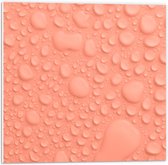Forex - Druppels op Roze Achtergrond - 50x50cm Foto op Forex