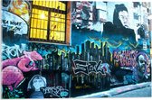 Acrylglas - Graffiti muur Blauw/Geel  - 60x40cm Foto op Acrylglas (Met Ophangsysteem)