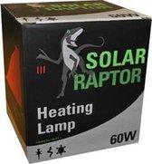 Solar Raptor Heating Lamp - 60W