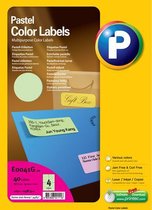 Printec Pastel Groen etiketten - 10 vel - 105x148.5mm - 4 labels per A4 - 40 stickers per doos
