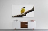 Schilderij - Gele vogel op tak — 100x70 cm