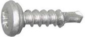 Kentekenplaatschroeven 4,8 mm x 25 mm - 20 stuks