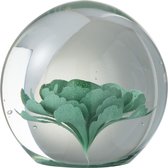 J-Line Presse Papier Bloem Glas Muntgroen Large